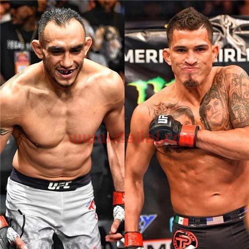 ufc嘴炮与小鹰的比赛是哪天,ufc嘴炮最新比赛1月19日几点开始?