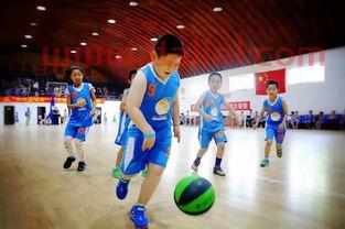 小学生篮球该教什么 各位达人教练请指教 (篮球培训教练教什么比较好)