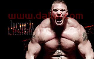 重量级霸主ufc,布洛克莱斯纳如何做到称霸WWE和横扫UFC的呢?