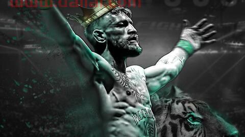 嘴炮康纳ufc冠军,ufc一年几个冠军