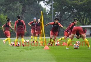 国足主教练女足谁厉害一点(国足女队教练)